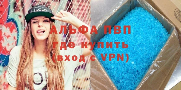 шишки Аркадак