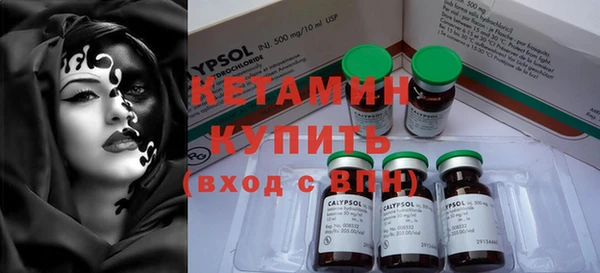 шишки Аркадак
