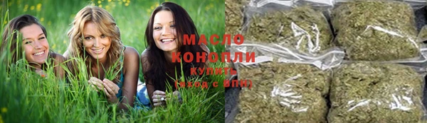 шишки Аркадак