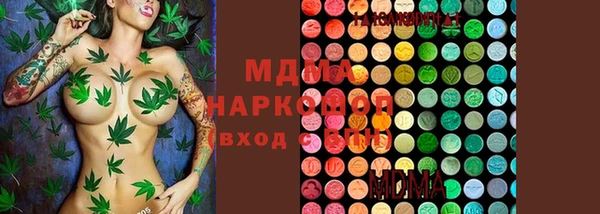 шишки Аркадак