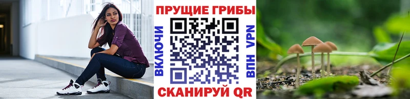 Галлюциногенные грибы Psilocybe  магазин    Валдай 